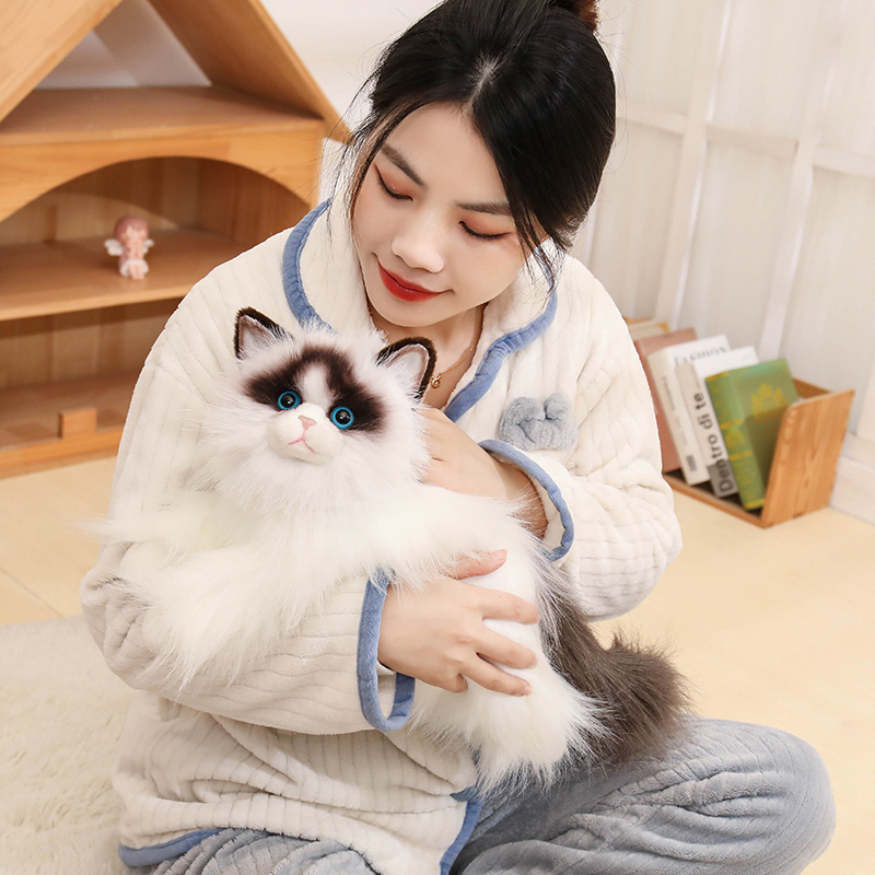 Cute Simulation Ragdoll Cat Pl - Home Improvement Kids 评论和价格