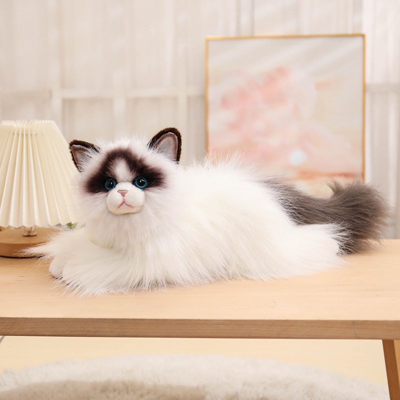 Cute Simulation Ragdoll Cat Pl - Home Improvement Kids 评论和价格