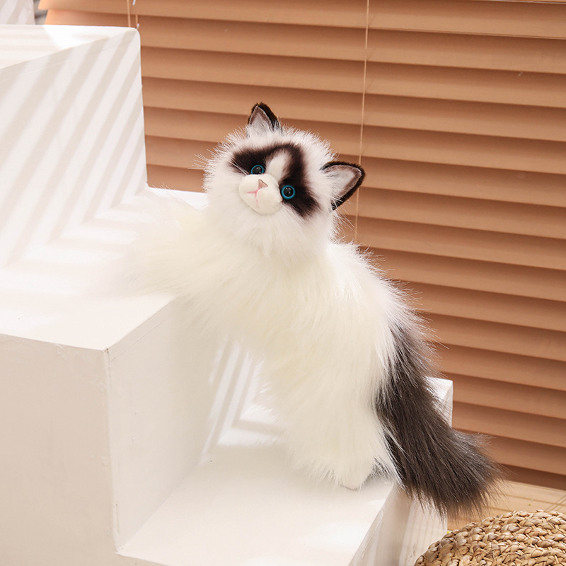 Cute Simulation Ragdoll Cat Pl - Home Improvement Kids 评论和价格