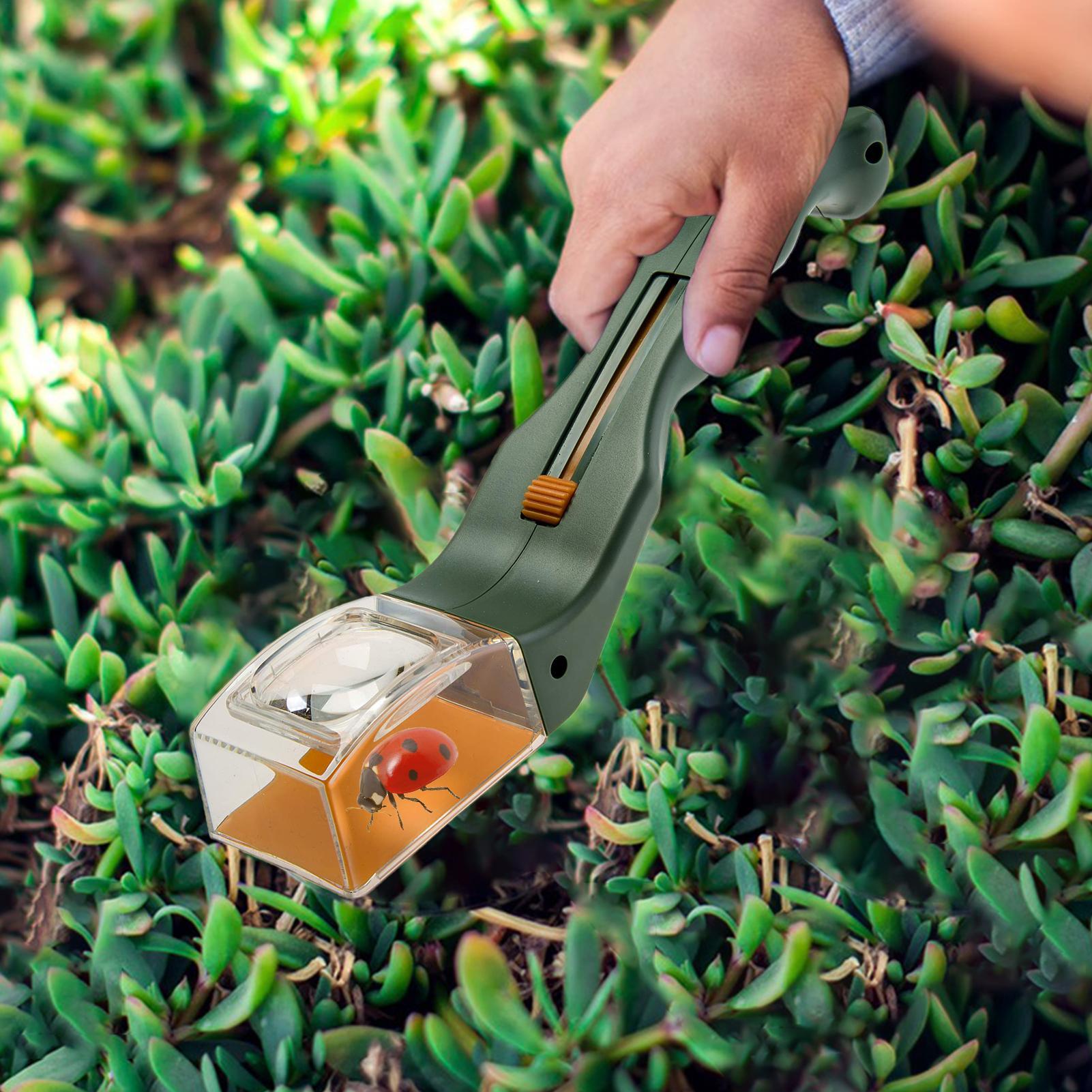 Handheld Insect Catcher Tool P - Home Improvement Kids 评论和价格