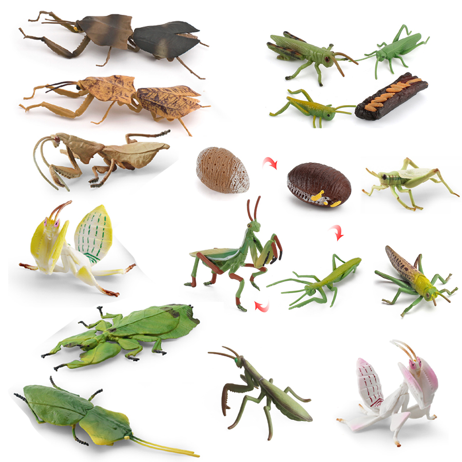Realistic Orchid Mantis Dead L - Home Improvement Kids 评论和价格