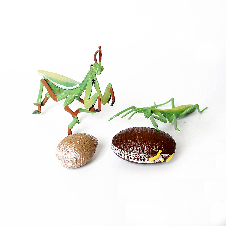 Realistic Orchid Mantis Dead L - Home Improvement Kids 评论和价格